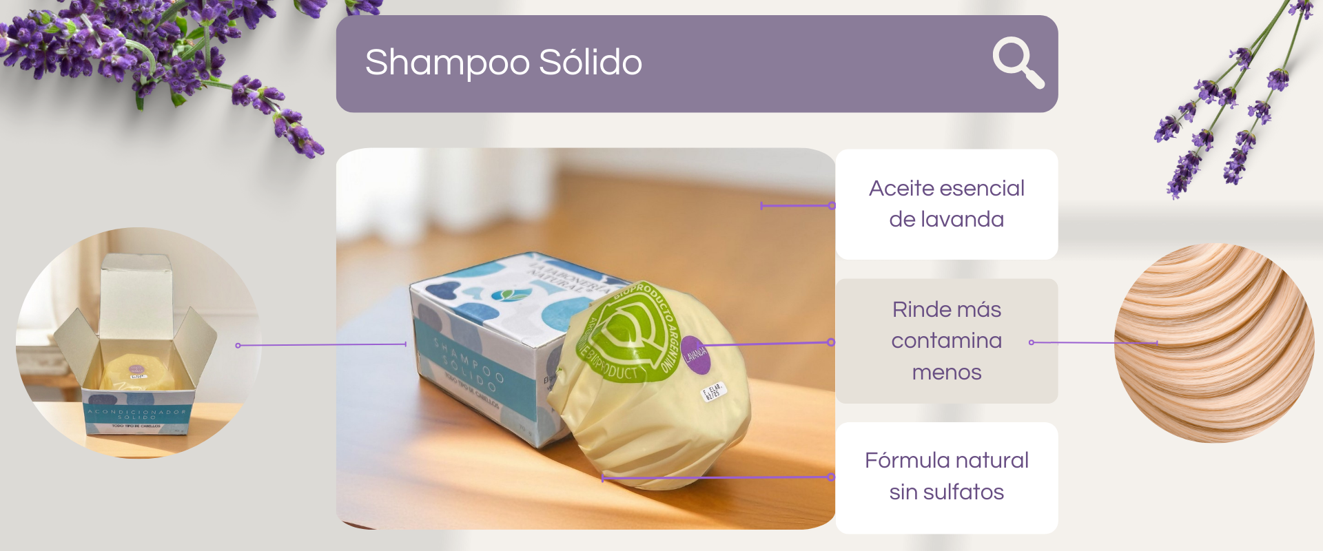 Shampoo Sólido (1920 x 800 px)